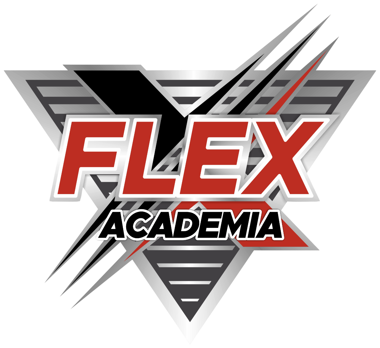 Logotipo Flex Academia
